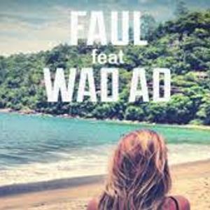 Faul & Wad Vs. Pnau